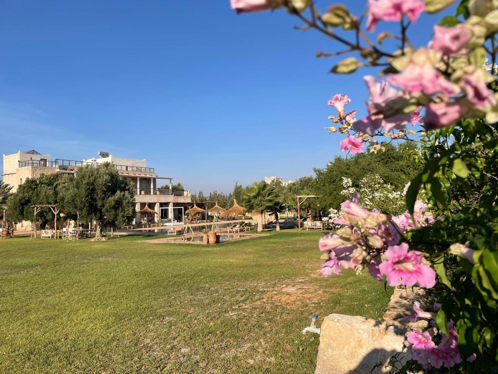 الصويرة Riad Sabidi المظهر الخارجي الصورة