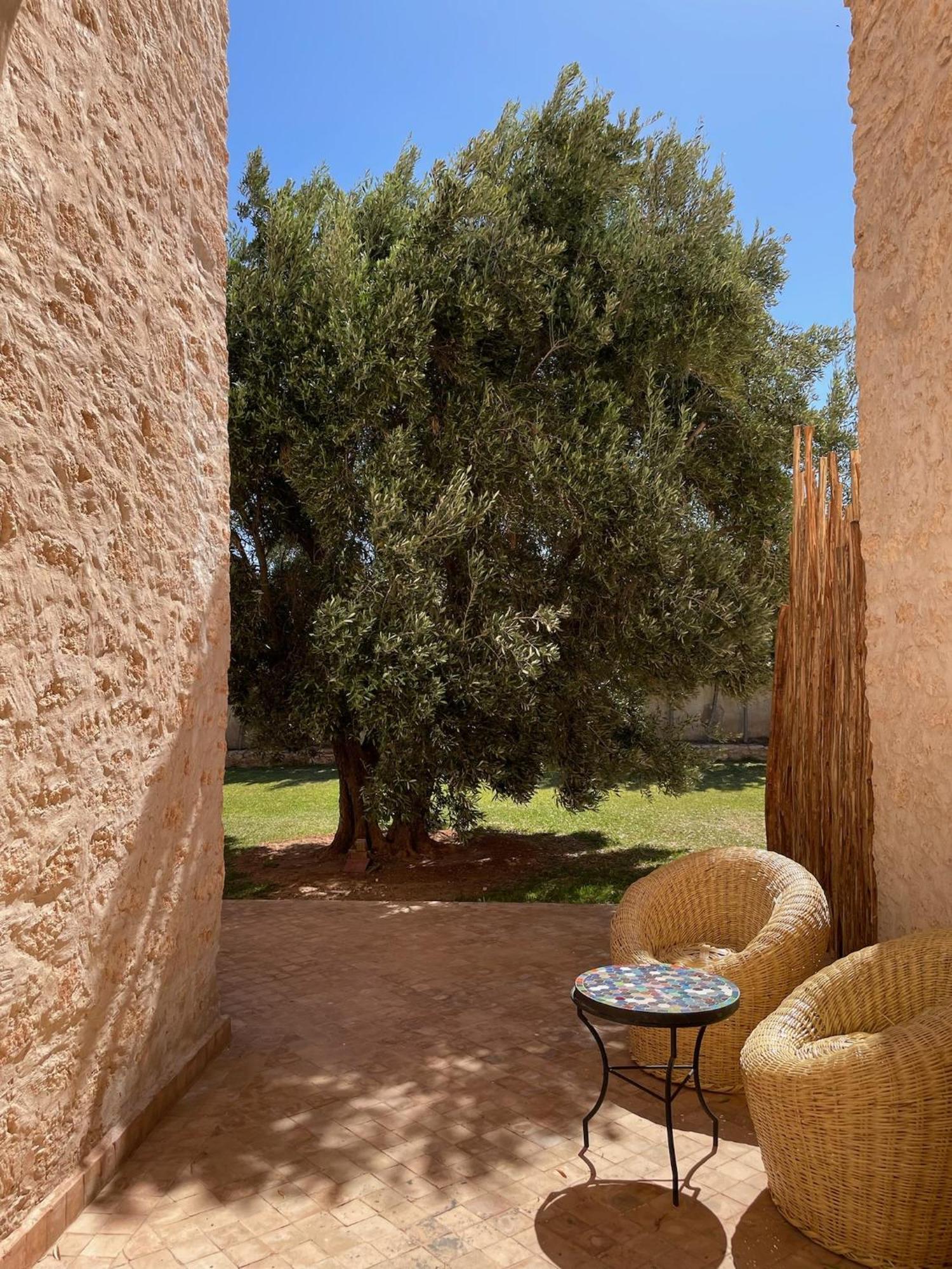 الصويرة Riad Sabidi المظهر الخارجي الصورة